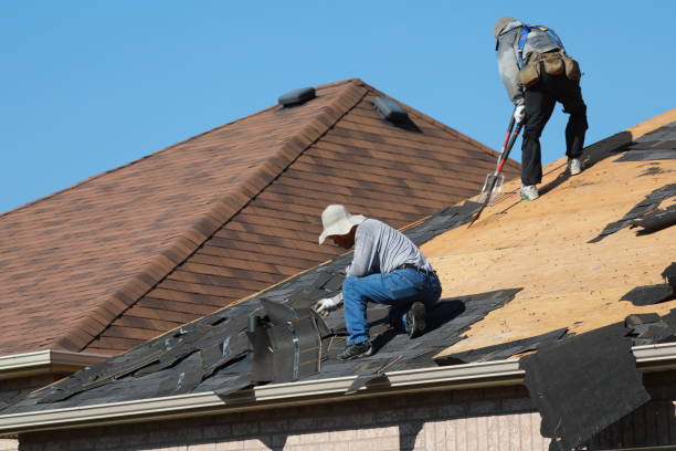 Best Solar Panel Roofing Installation  in Corinth, TX