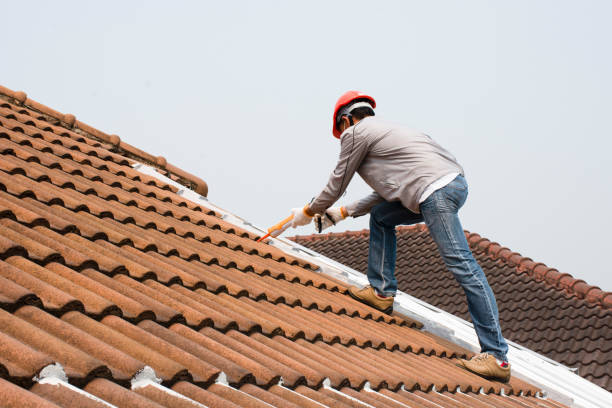 Best Green or Eco-Friendly Roofing Solutions  in Corinth, TX